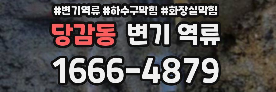 당감동 변기 역류