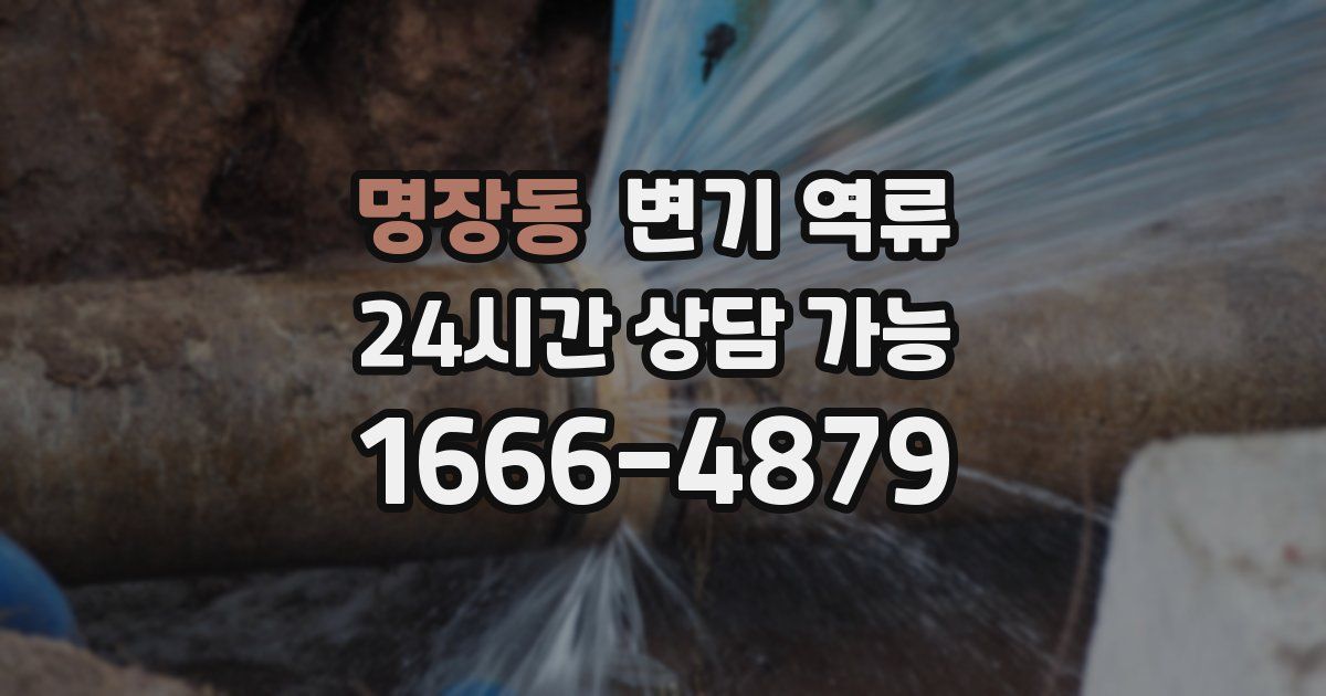 명장동 변기 역류