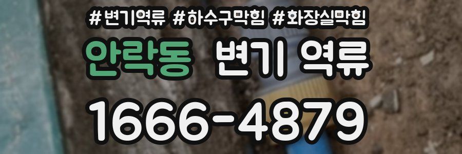 안락동 변기 역류