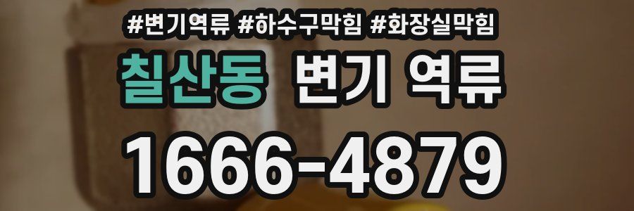 칠산동 변기 역류