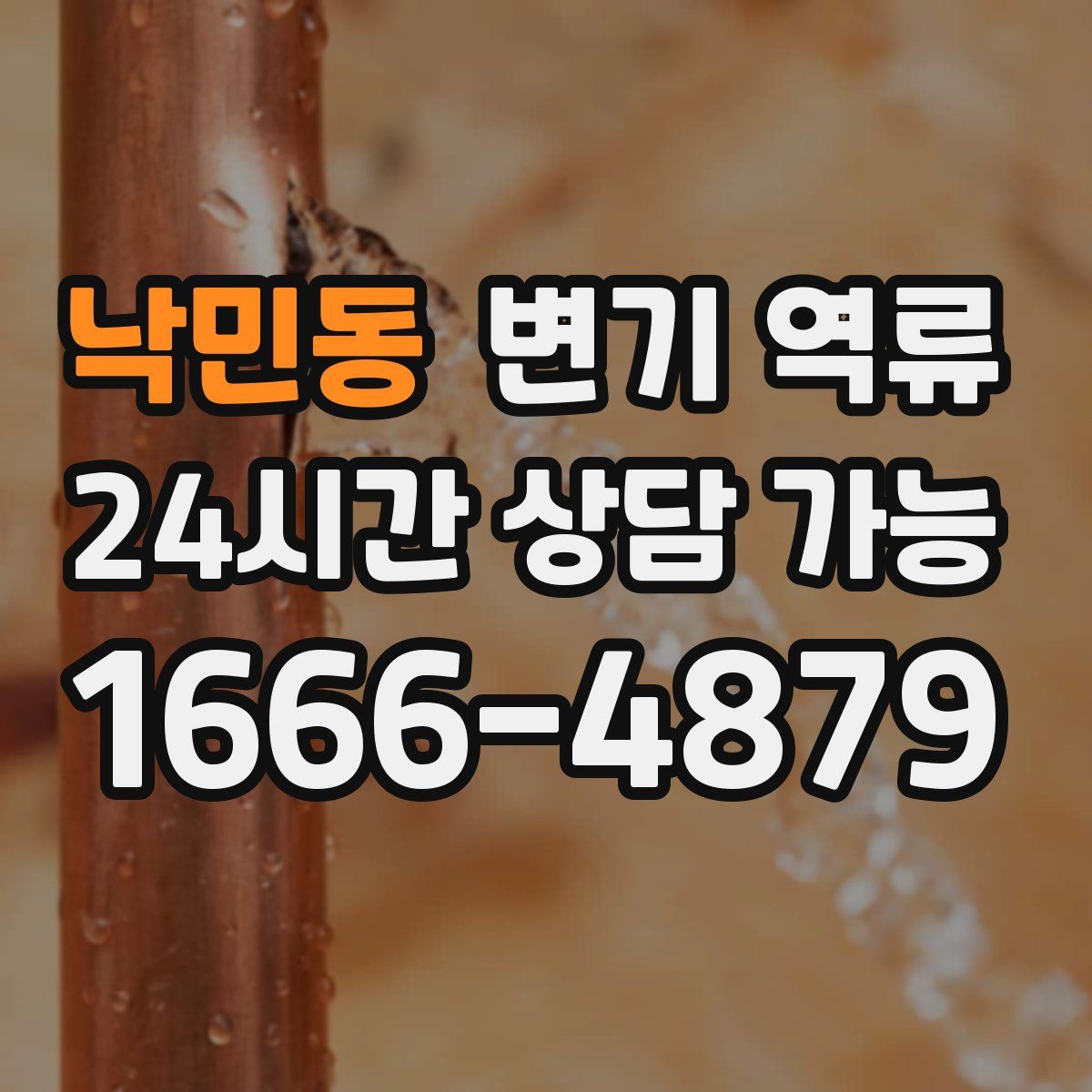 낙민동 변기 역류