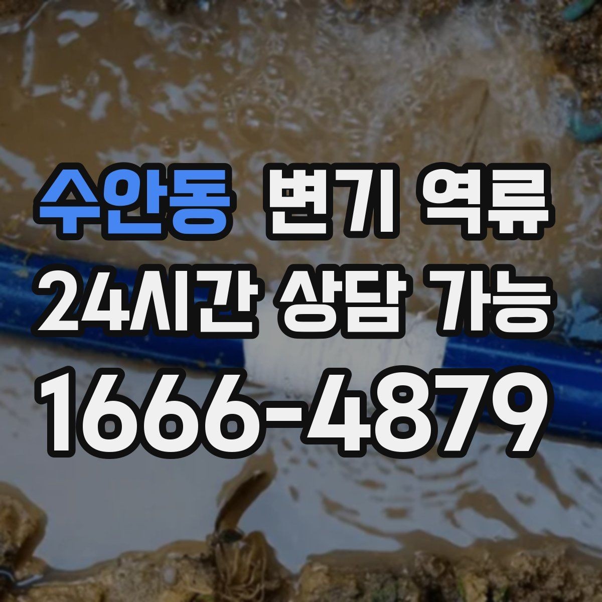 수안동 변기 역류 역류량이 많을수록 위험한 이유
