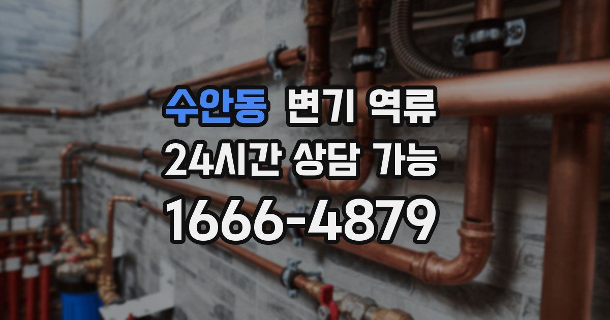 수안동 변기 역류