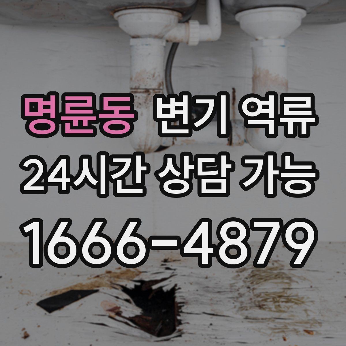 명륜동 변기 역류 정기 점검이 필요한 집의 특징