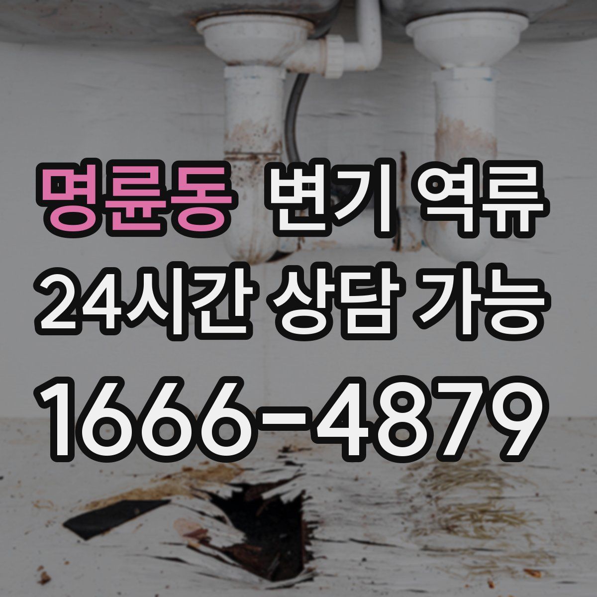 명륜동 변기 역류