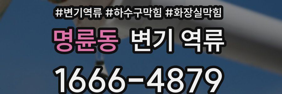 명륜동 변기 역류