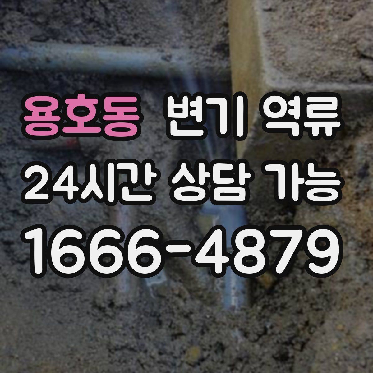 용호동 변기 역류 오염물이 보일 때 절대 하면 안 되는 행동