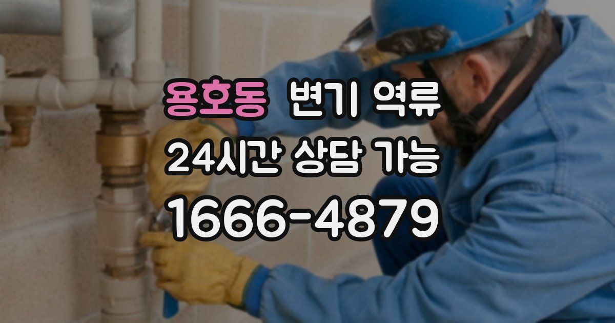 용호동 변기 역류