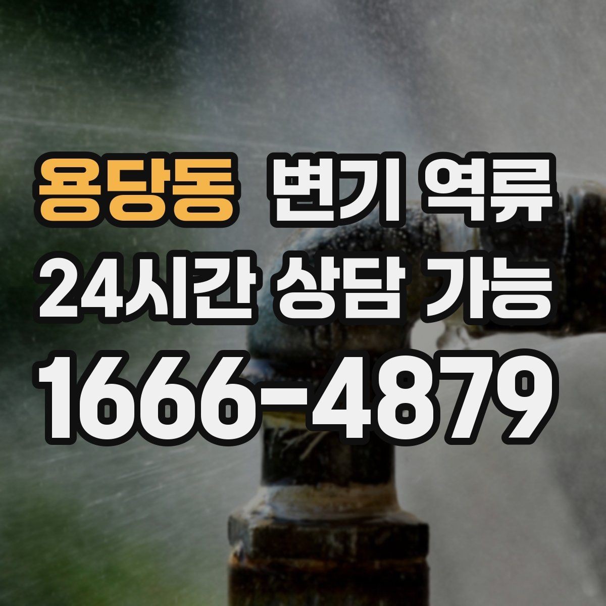 용당동 변기 역류 바닥 틈으로 스며들었을 때 위험한 이유