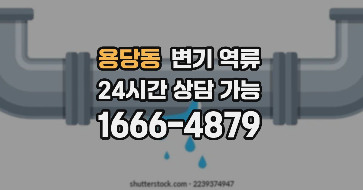 용당동 변기 역류