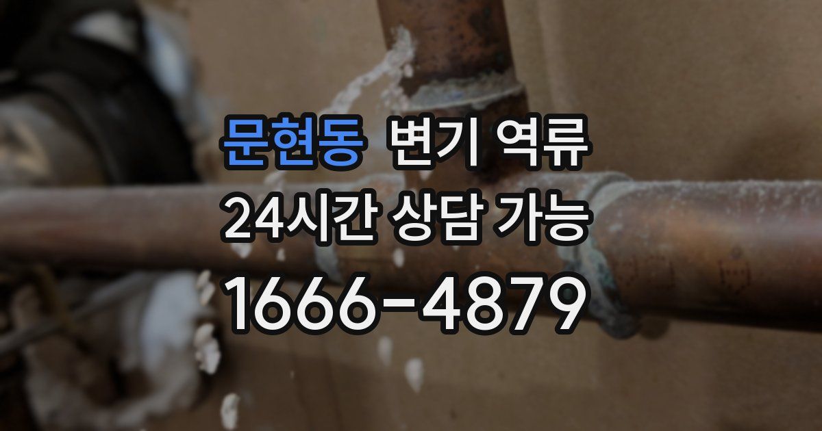 문현동 변기 역류