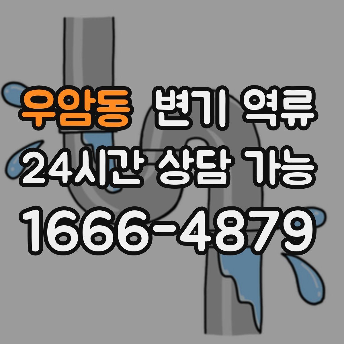 우암동 변기 역류 바닥재 아래로 스며들면 생기는 2차 문제