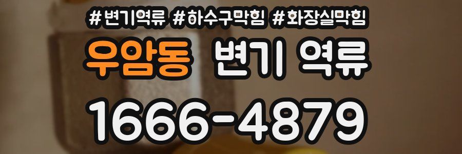 우암동 변기 역류