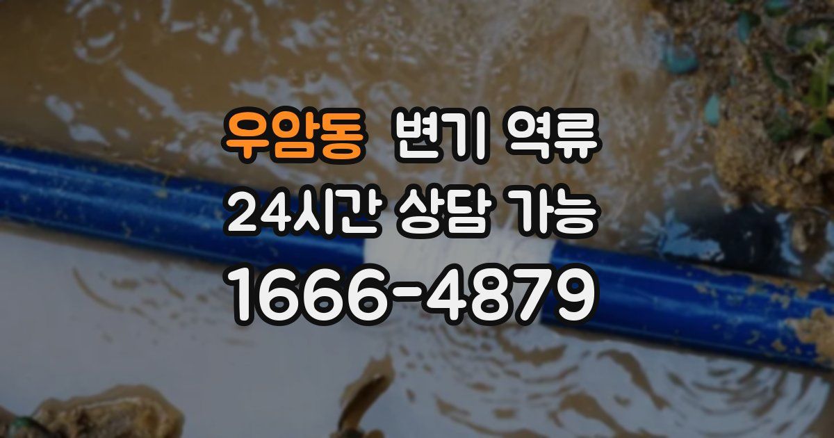 우암동 변기 역류