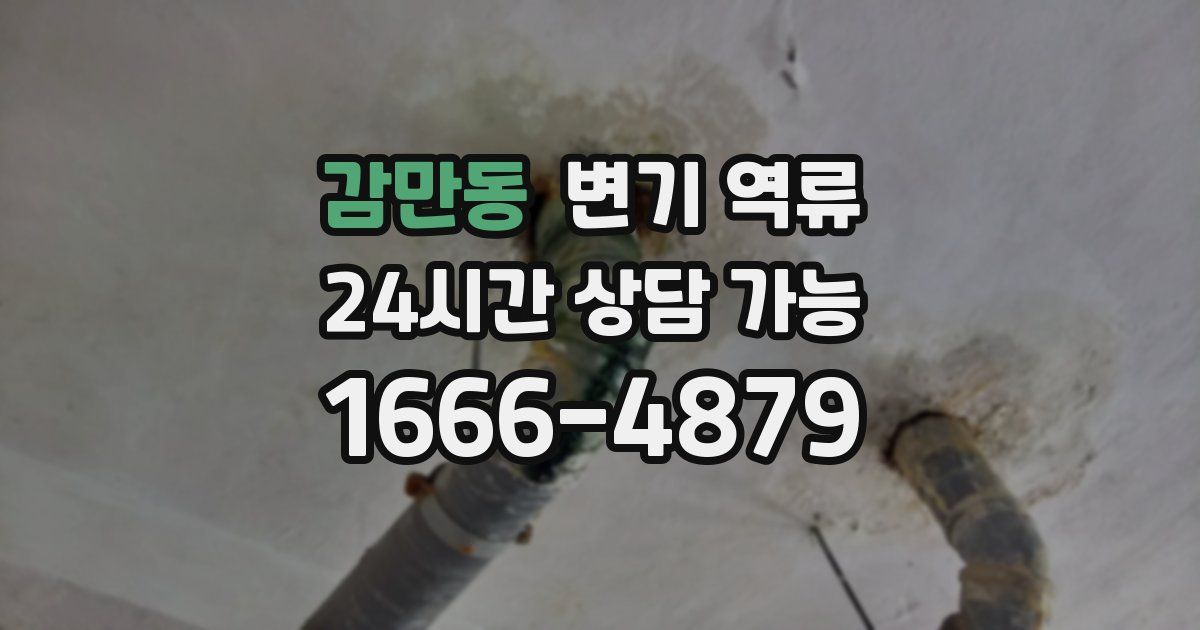 감만동 변기 역류