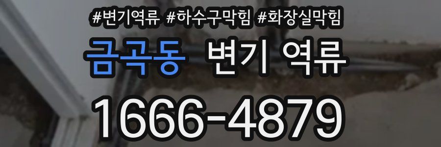 금곡동 변기 역류