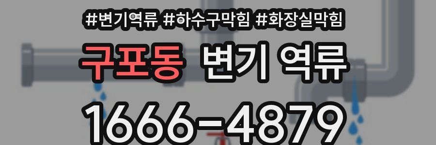 구포동 변기 역류