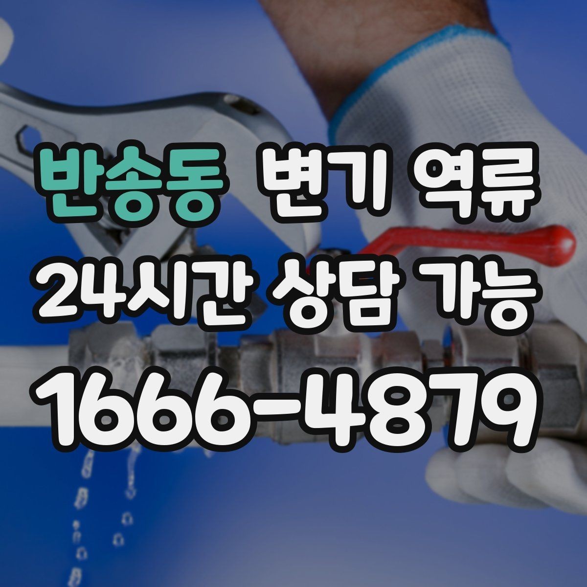 반송동 변기 역류 공사 잔재 유입이 의심될 때 특징