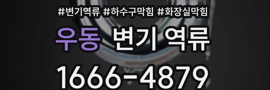 우동 변기 역류