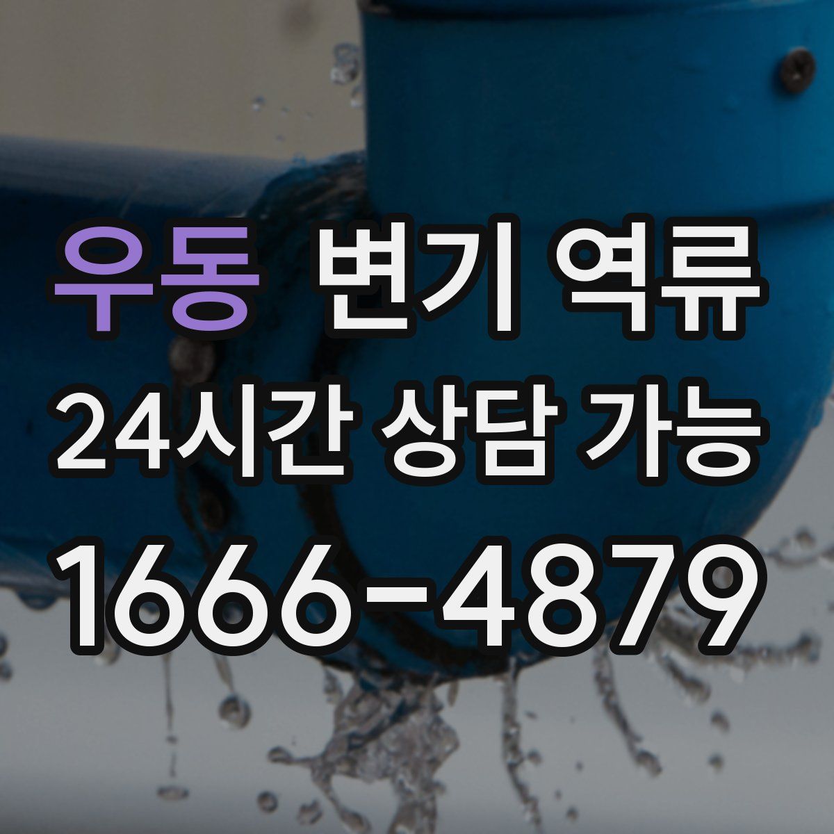 우동 변기 역류