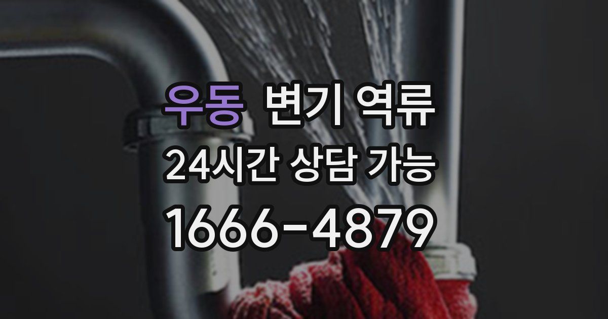 우동 변기 역류