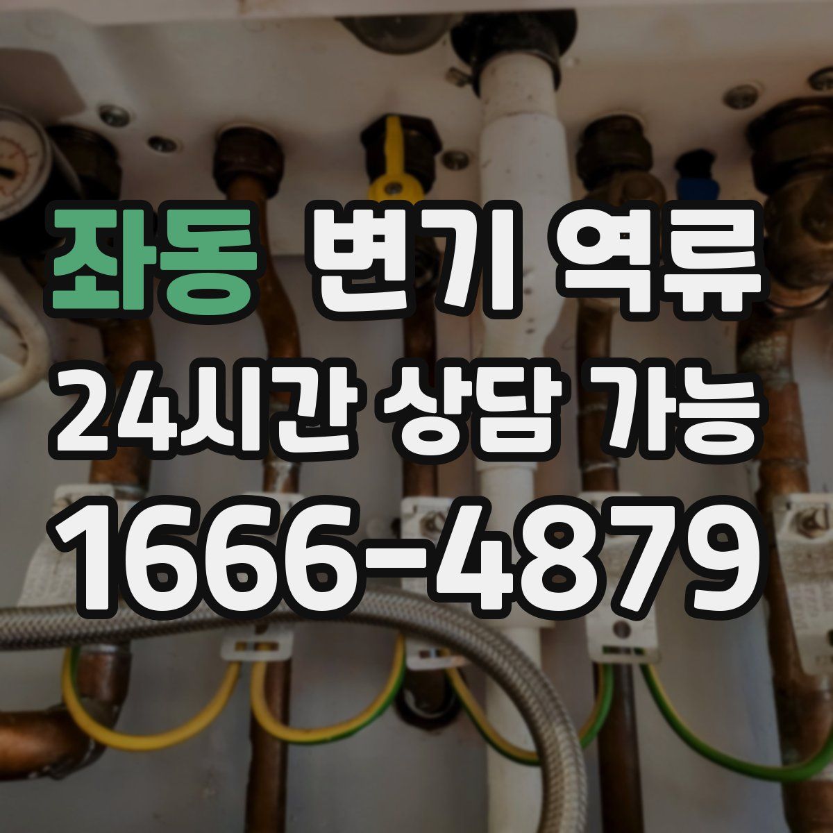 좌동 변기 역류