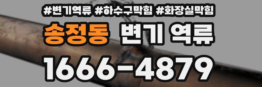 송정동 변기 역류