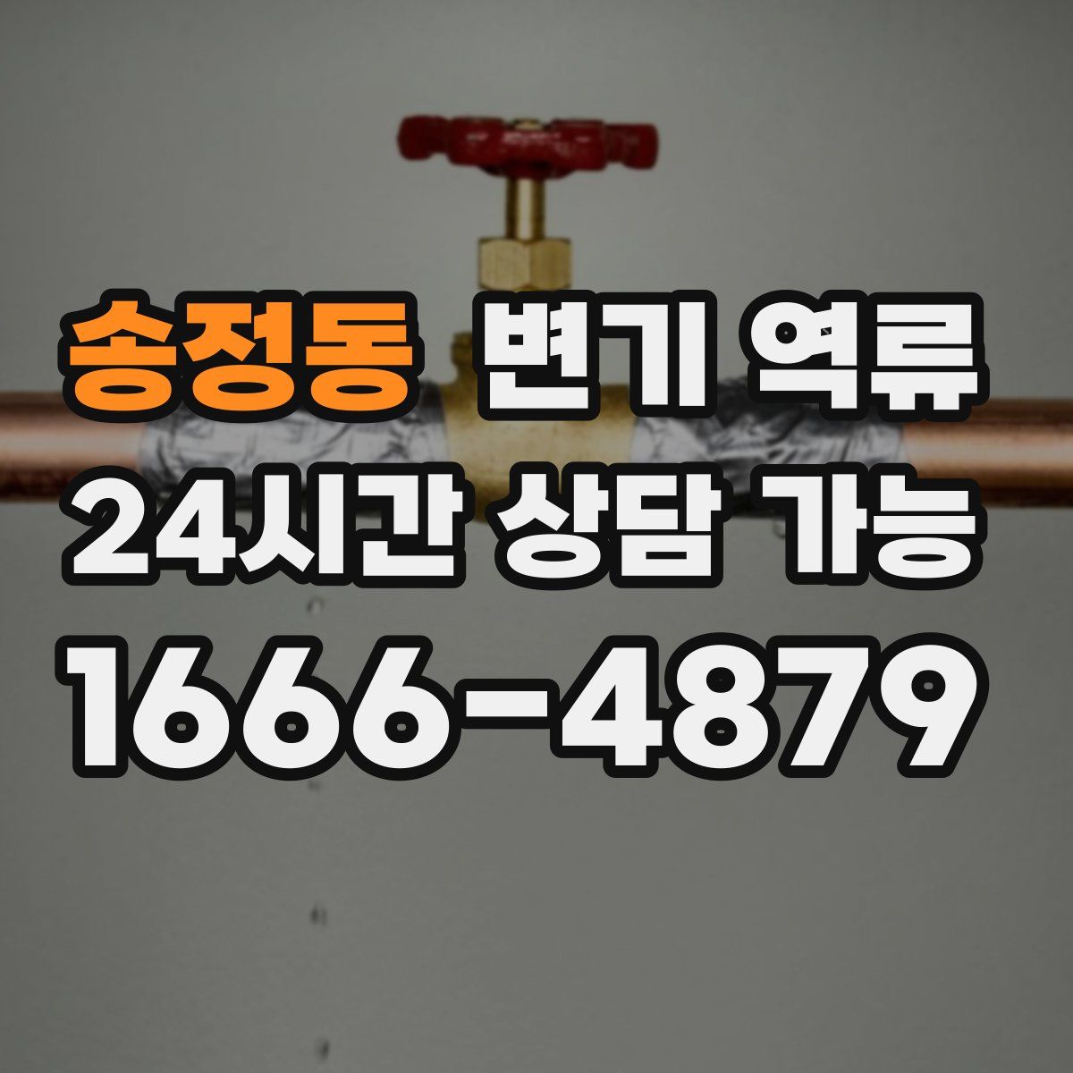 송정동 변기 역류