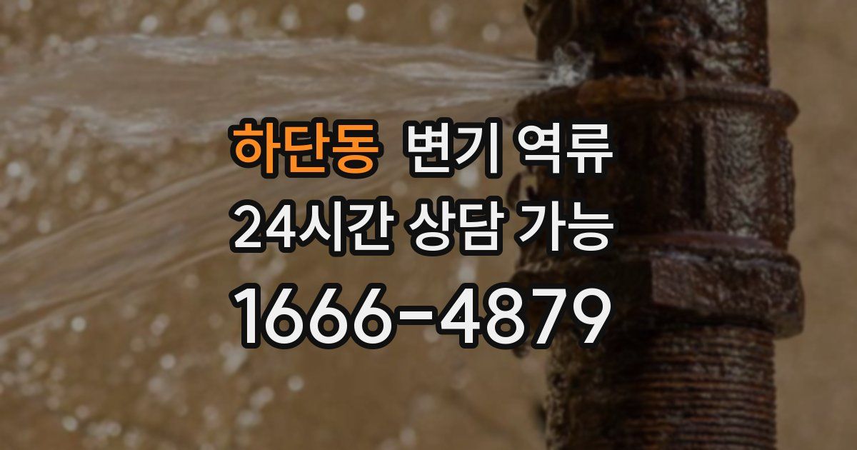 하단동 변기 역류