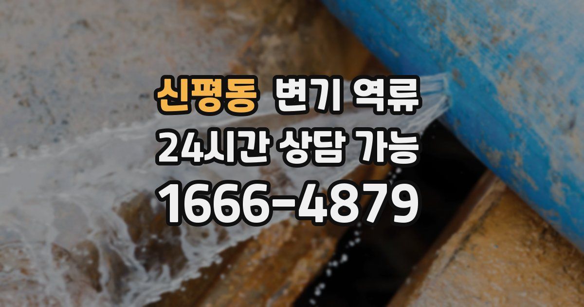 신평동 변기 역류