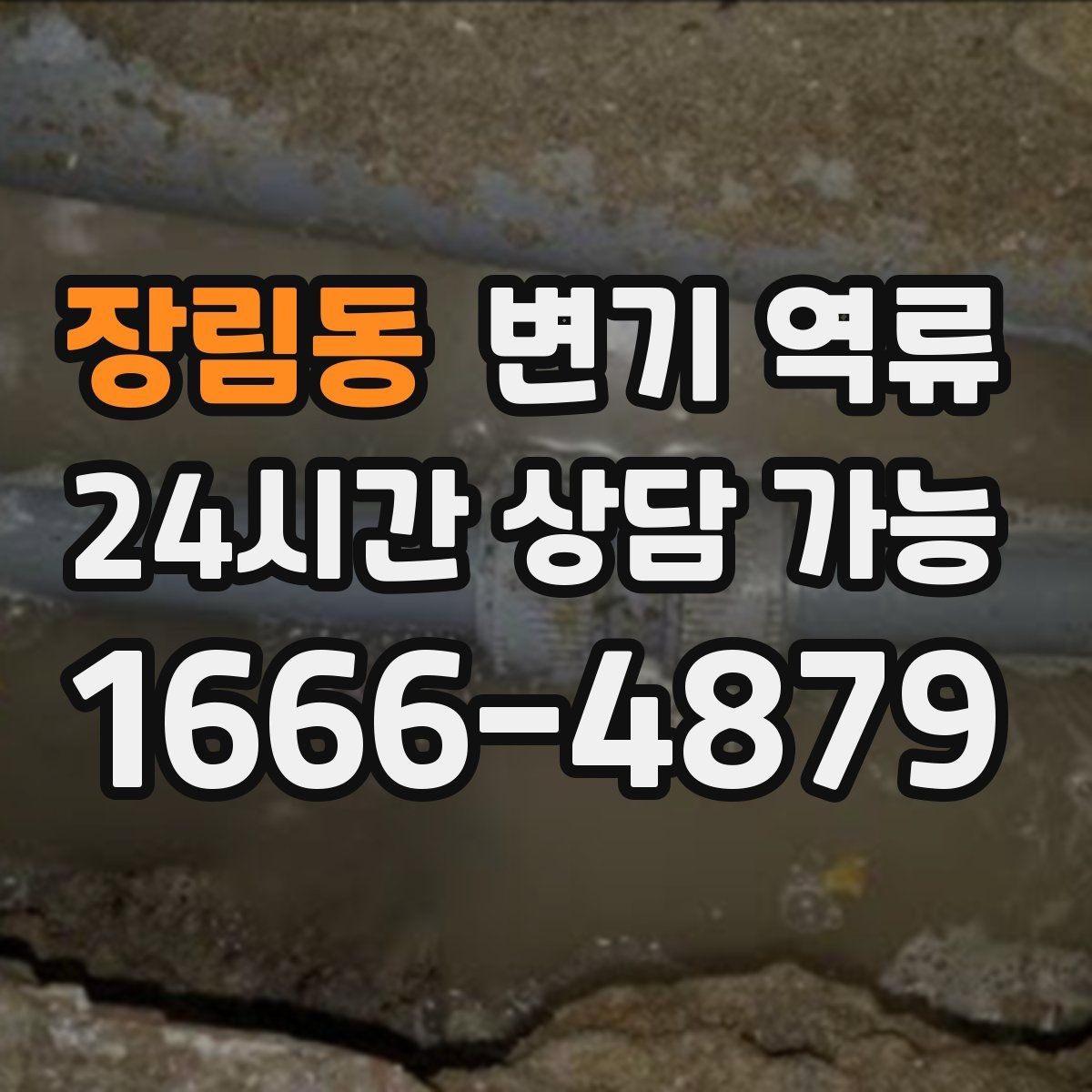 장림동 변기 역류 어린이·반려동물 접근을 막아야 하는 이유