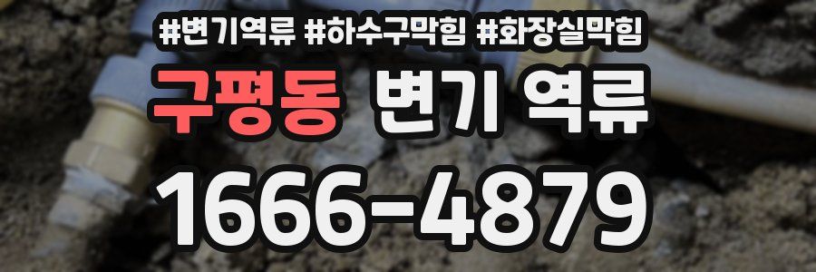 구평동 변기 역류