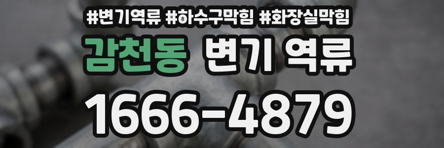 감천동 변기 역류