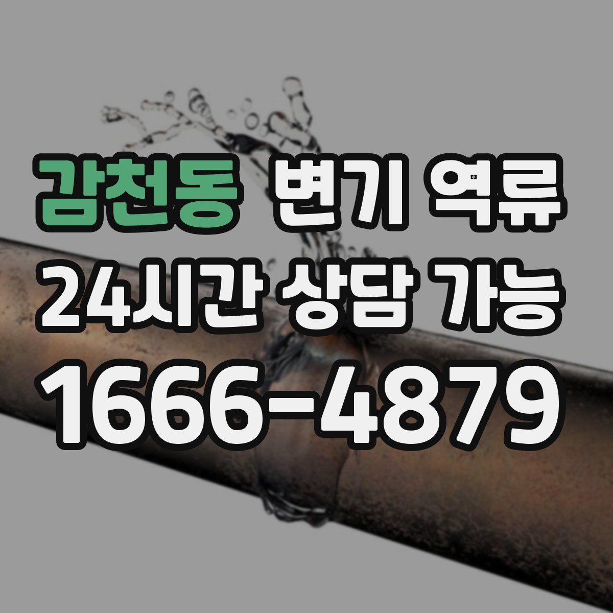 감천동 변기 역류