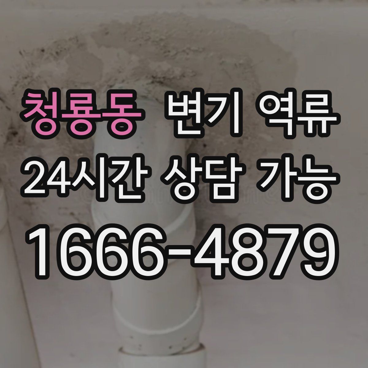 청룡동 변기 역류