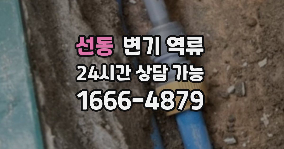 선동 변기 역류