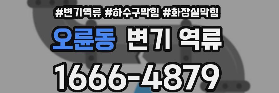 오륜동 변기 역류