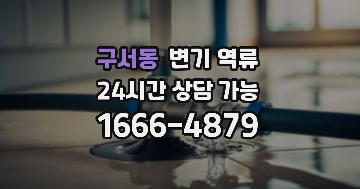 구서동 변기 역류