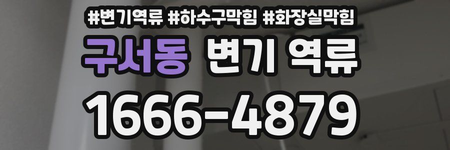 구서동 변기 역류