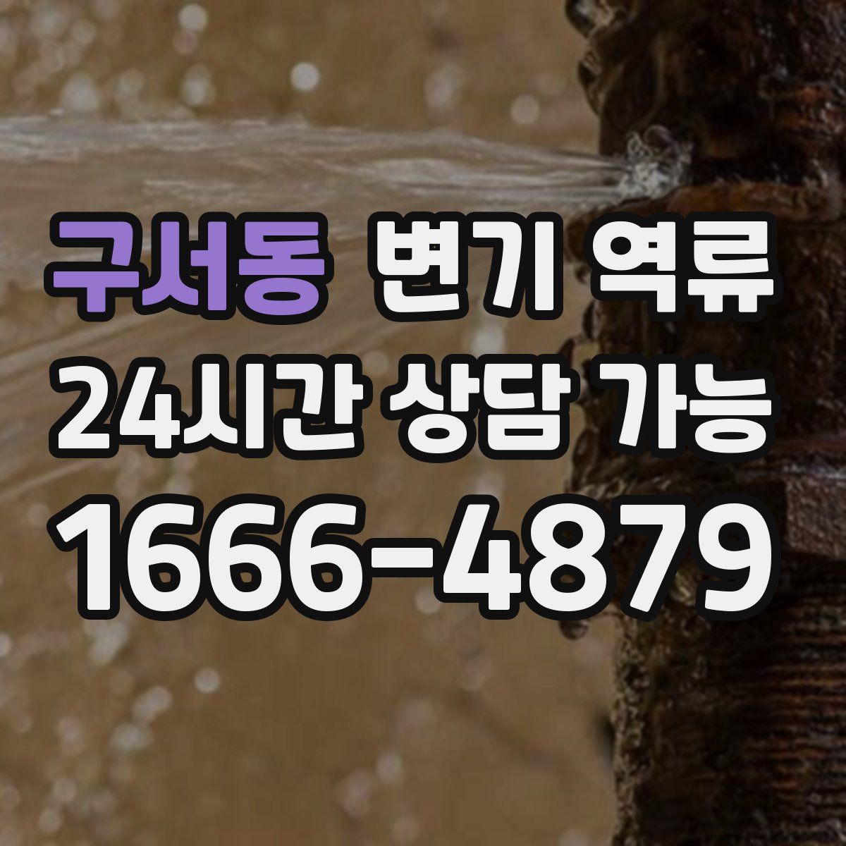 구서동 변기 역류