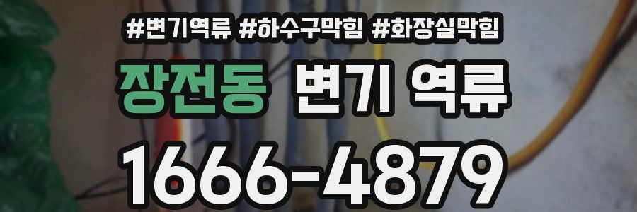 장전동 변기 역류