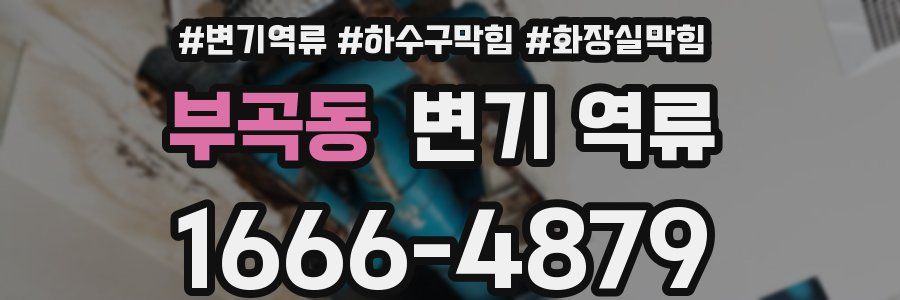 부곡동 변기 역류