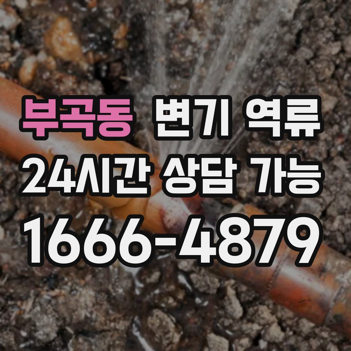 부곡동 변기 역류