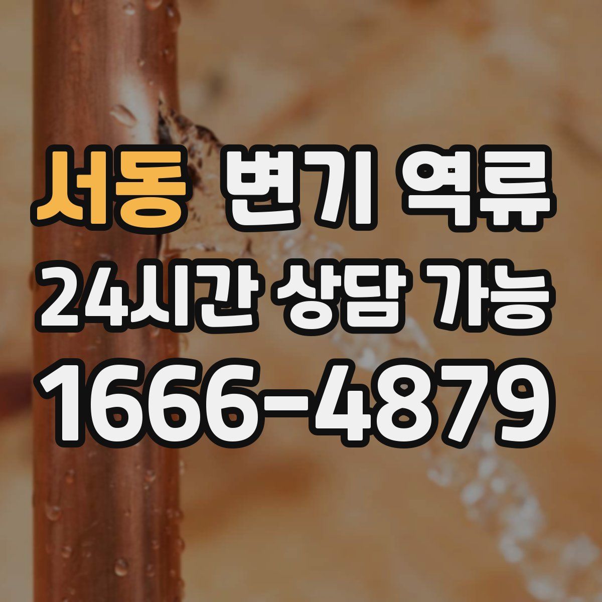 서동 변기 역류