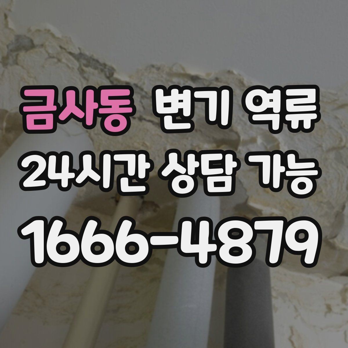 금사동 변기 역류 특정 변기만 반복되면 의심할 것