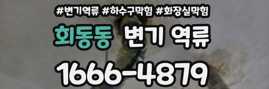 회동동 변기 역류