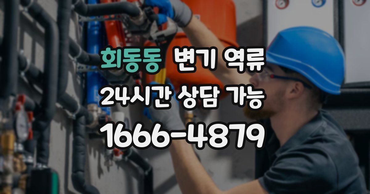 회동동 변기 역류