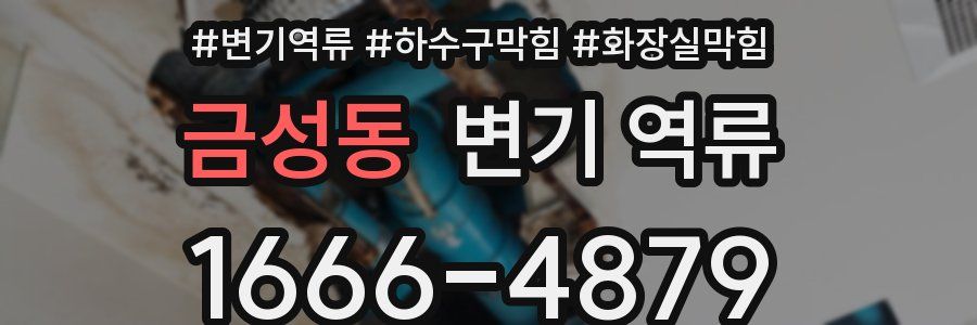 금성동 변기 역류