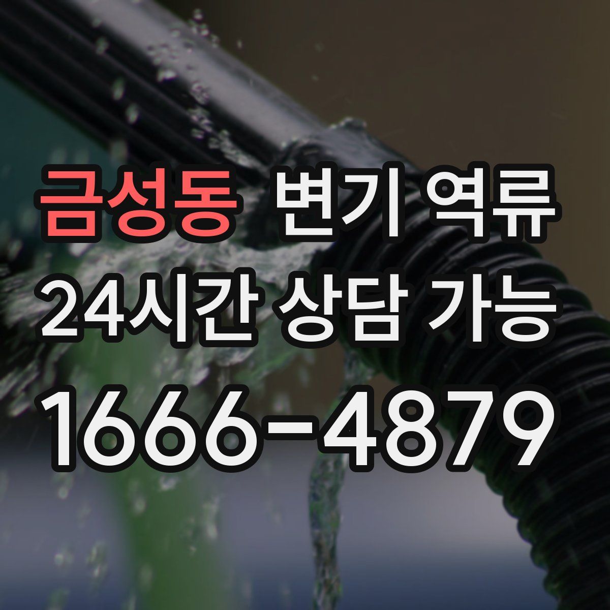 금성동 변기 역류