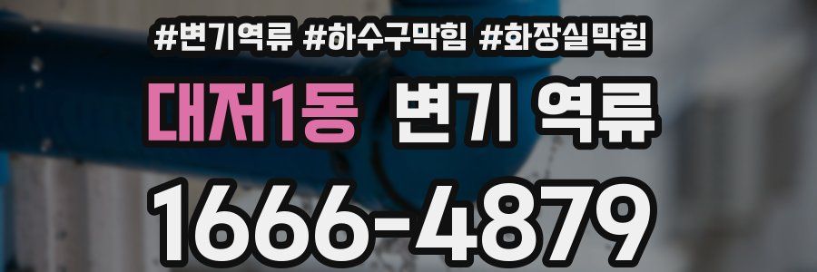 대저1동 변기 역류